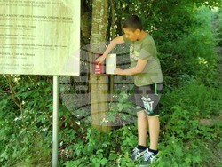 Снимка: Южноцентрално държавно предприятие – гр. Смолян