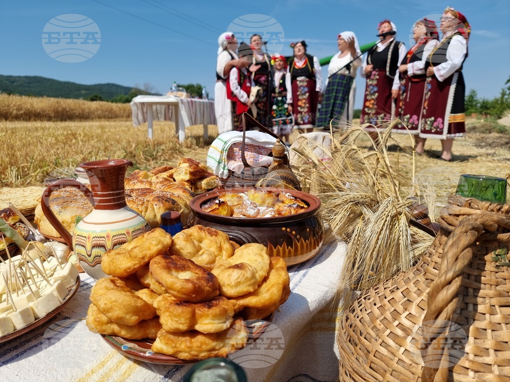 Село Търнава - откриване на жътвата