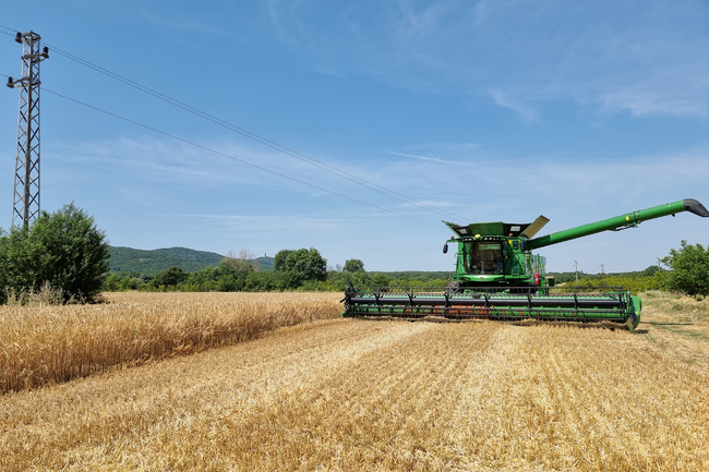 Labour Inspectorate Conducts Over 3,600 Inspections in Agriculture for Labour Legislation Violations