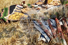 Село Търнава - откриване на жътвата