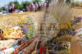 Село Търнава - откриване на жътвата