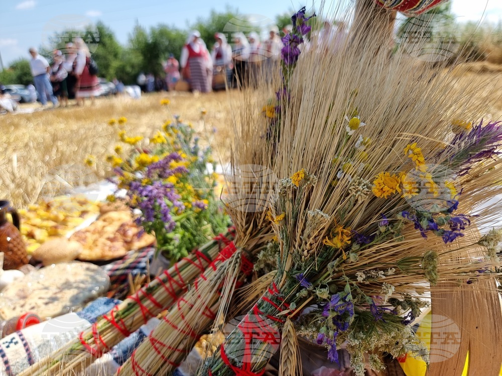 Село Търнава - откриване на жътвата