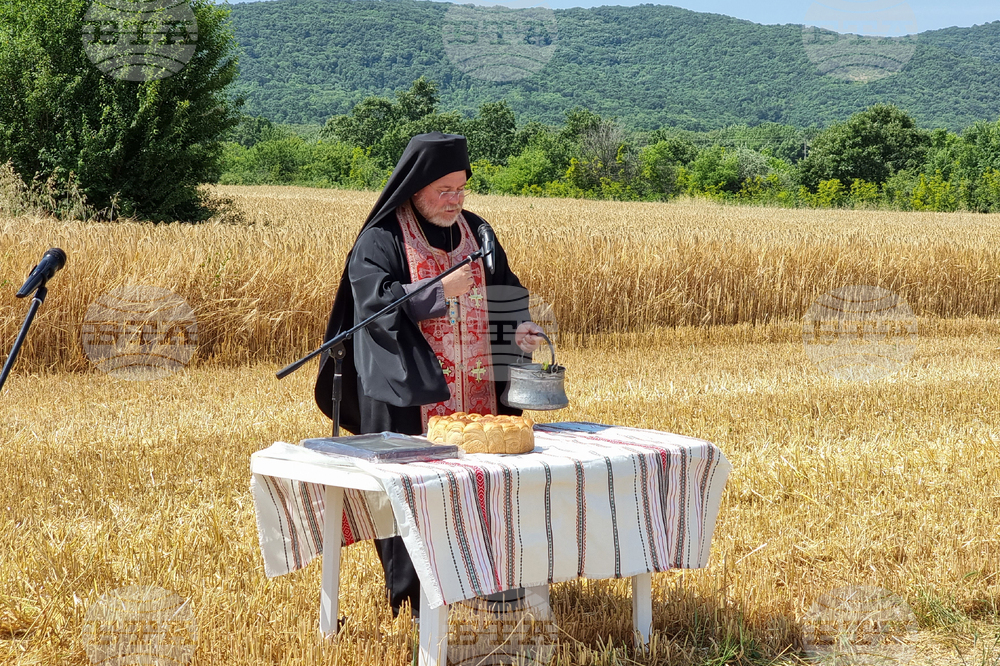 Село Търнава - откриване на жътвата