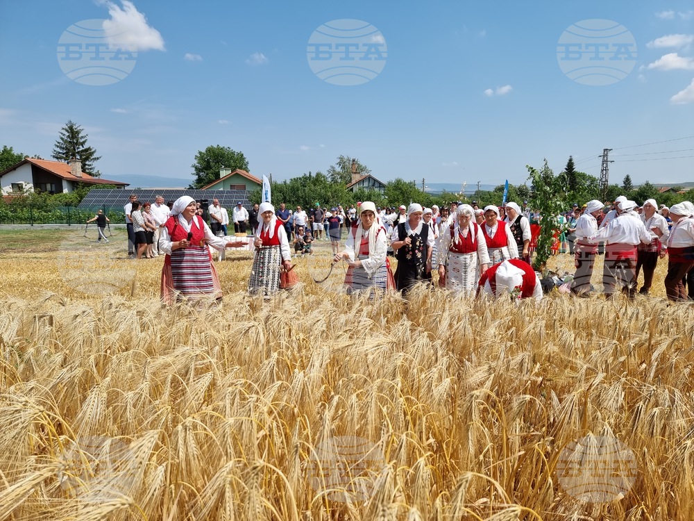 Село Търнава - откриване на жътвата