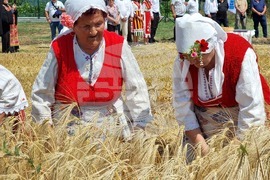 Село Търнава - откриване на жътвата