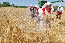 Село Търнава - откриване на жътвата
