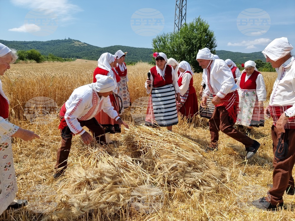 Село Търнава - откриване на жътвата
