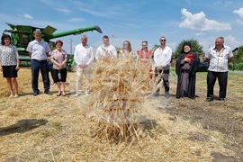 Село Търнава - откриване на жътвата