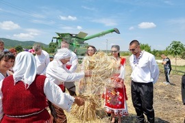 Село Търнава - откриване на жътвата