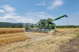 Село Търнава - откриване на жътвата