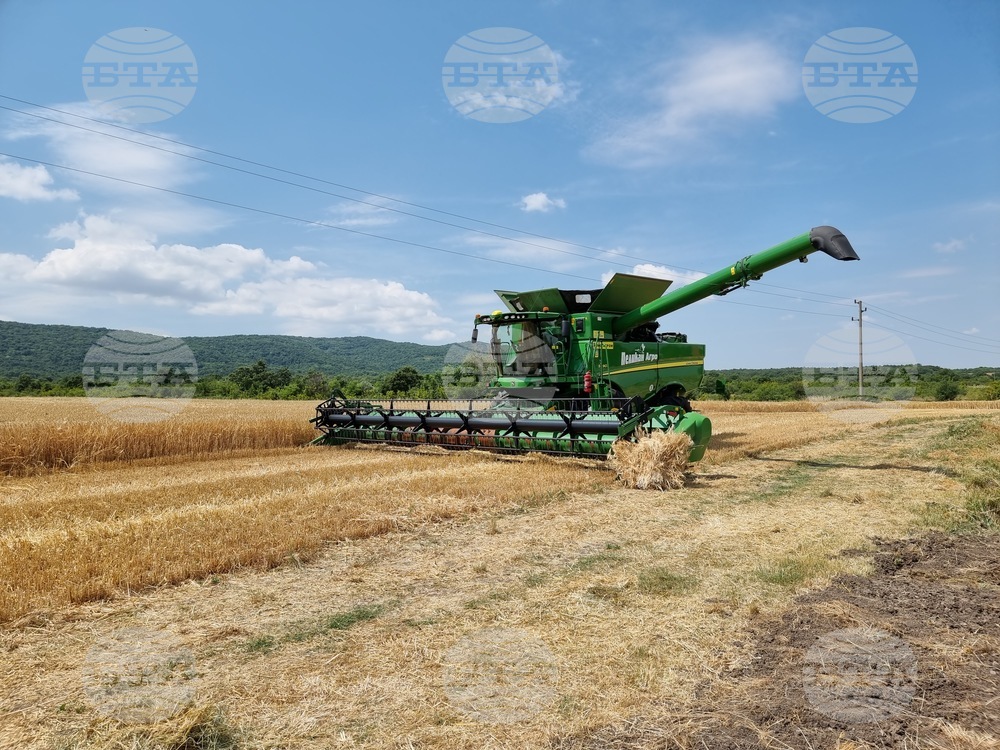 Село Търнава - откриване на жътвата