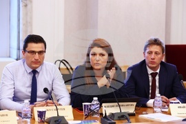 Народно събрание - Комисия по бюджет и финанси