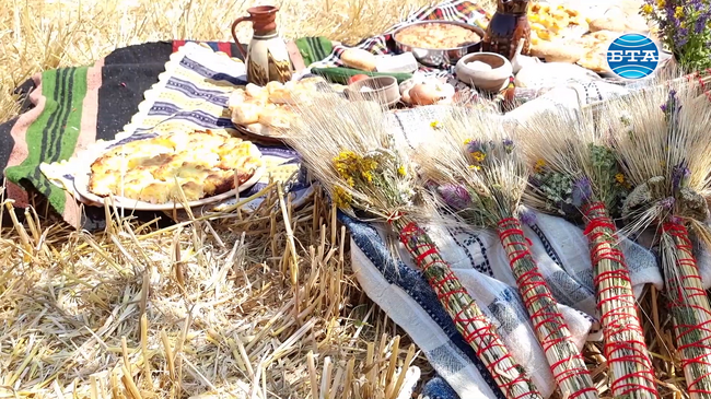 С народния ритуал "зажънване" започна прибирането на ечемика в Тунджанско