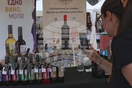 НДК - Балкански международен винен фестивал