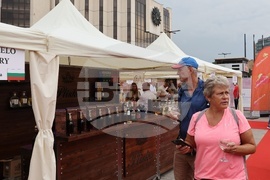 НДК - Балкански международен винен фестивал