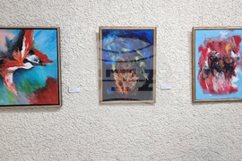 Добрич - изложба