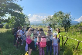 Самоков - поляни - билки