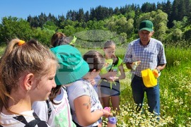 Самоков - поляни - билки