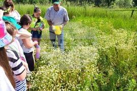Самоков - поляни - билки