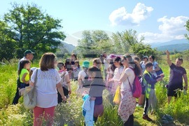 Самоков - поляни - билки