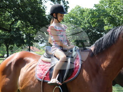 Община Хасково