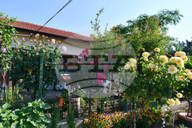 Исперих - цветя - любопитно