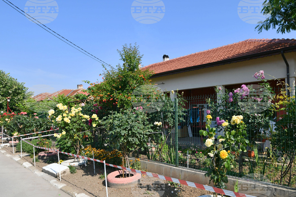 Исперих - цветя - любопитно