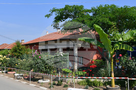 Исперих - цветя - любопитно