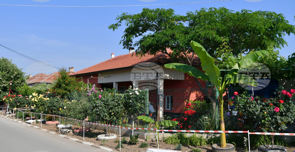 Исперих - цветя - любопитно