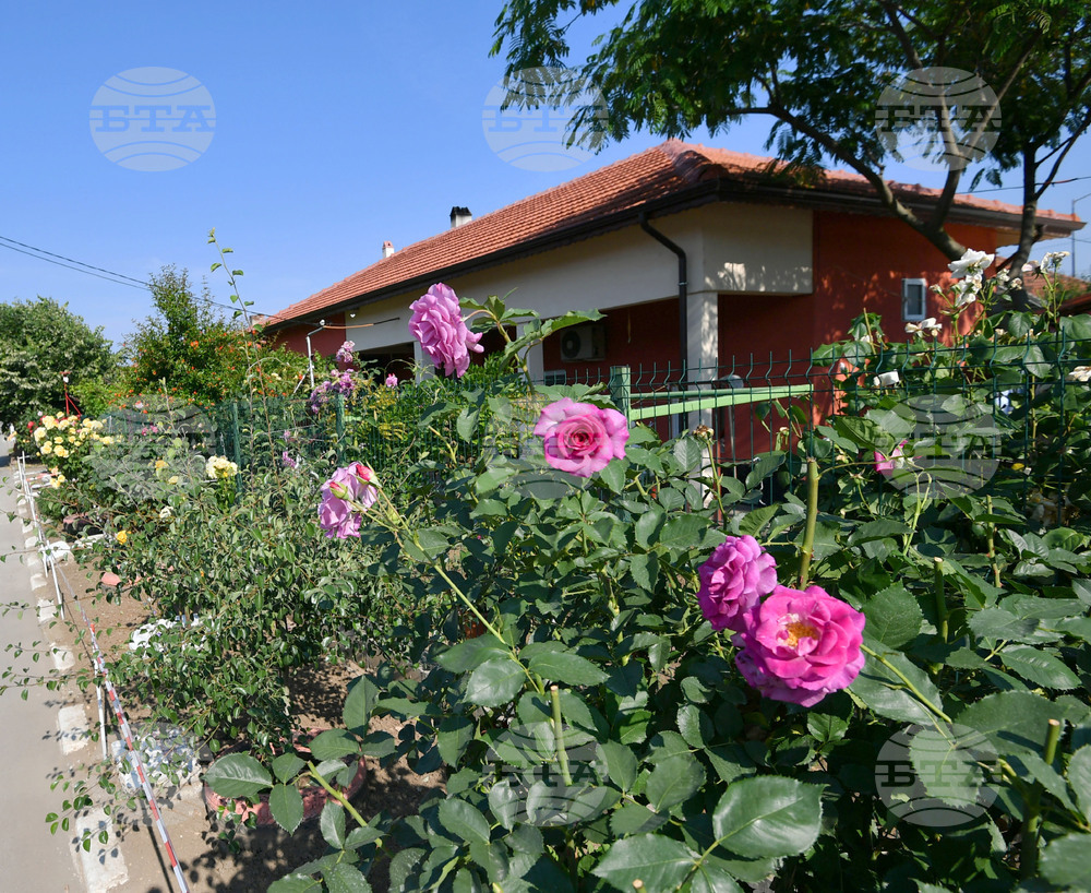 Исперих - цветя - любопитно