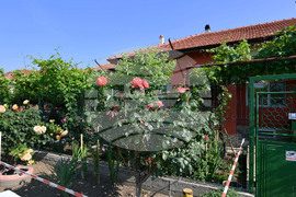 Исперих - цветя - любопитно