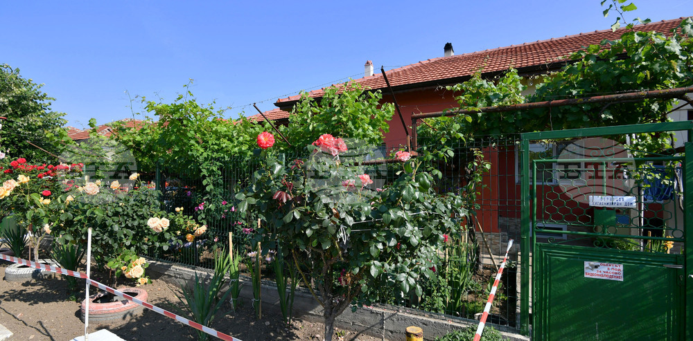 Исперих - цветя - любопитно