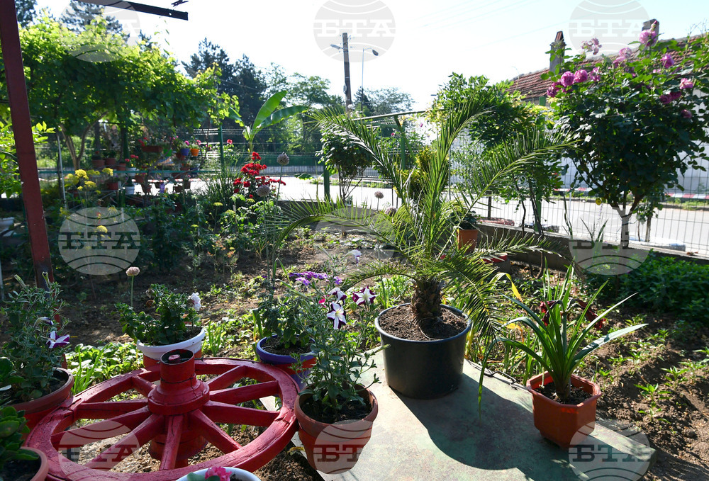 Исперих - цветя - любопитно