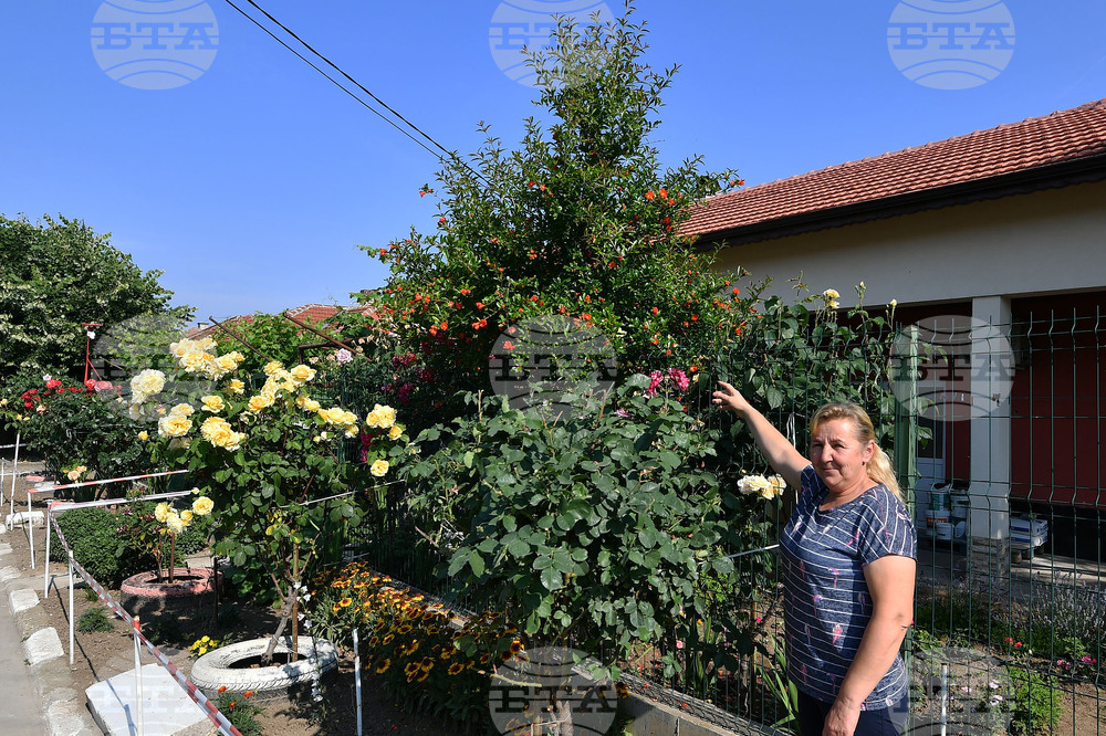 Исперих - цветя - любопитно