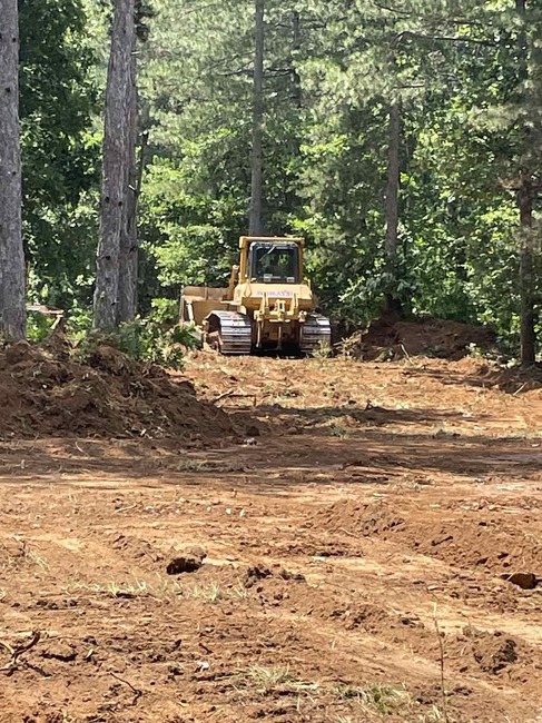 Изпълнителна агенция по горите: В ход са проверки за изпълнението на противопожарни мероприятия в горските структури