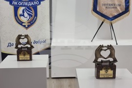 Плевен - награда "Добро без граници"