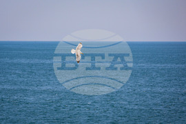 Варна - лято