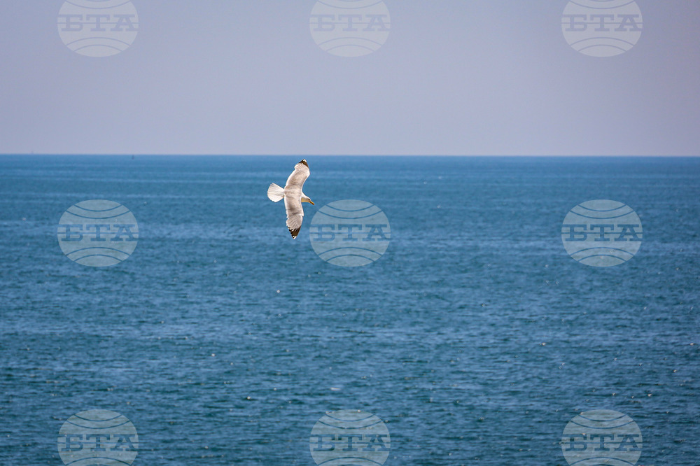 Варна - лято