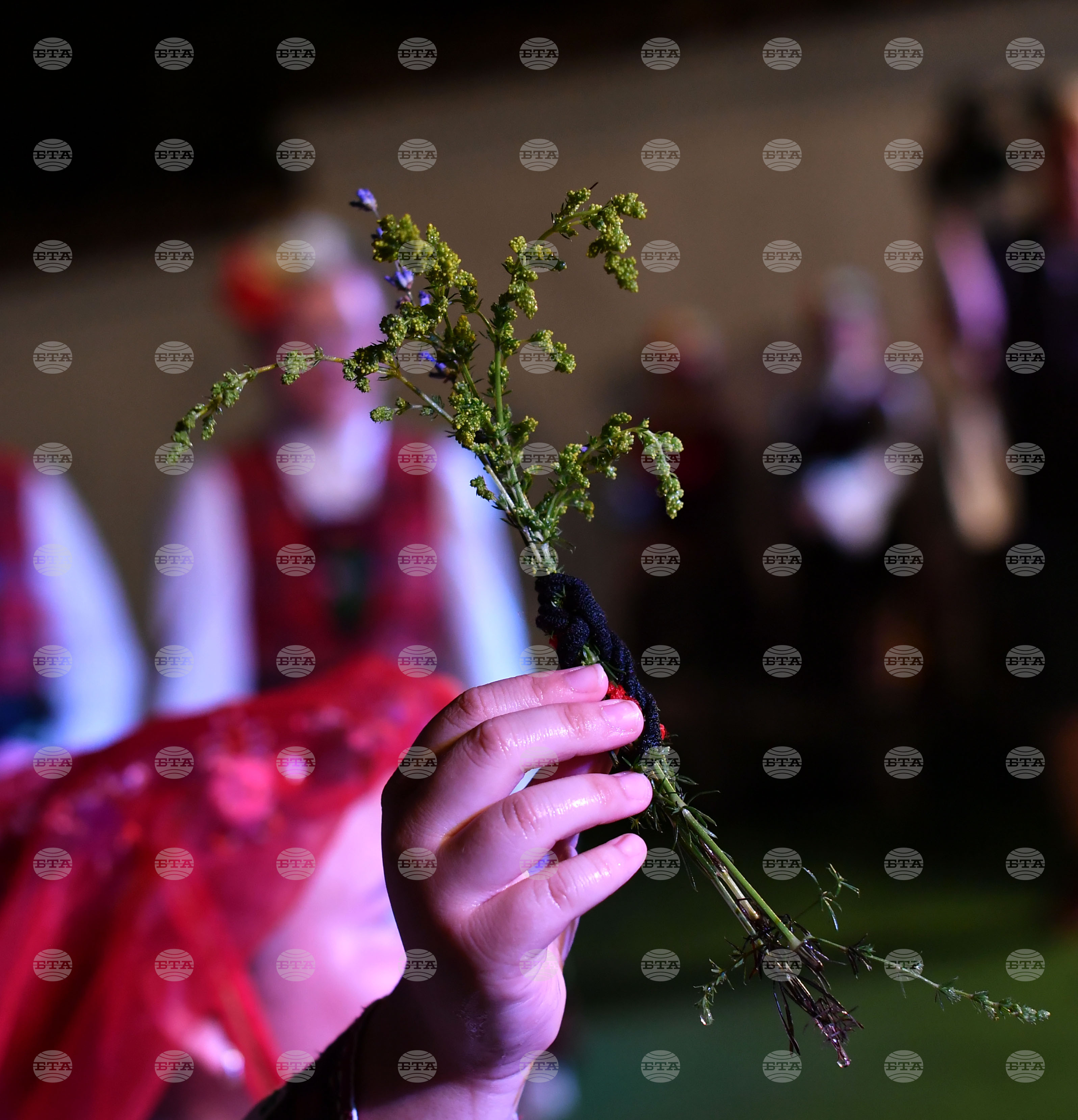 Разград - фестивал "Бели нощи"