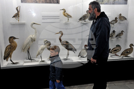 Бургас - международен ден на птиците