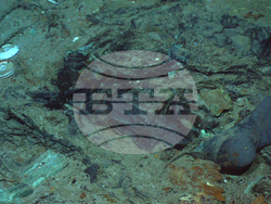 Titanic Tourist Sub Tick Tock