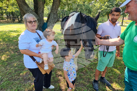 Хасково - Еньовден