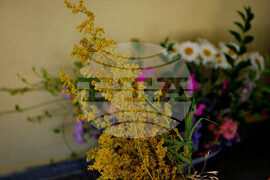 Бургас - Етнографски музей - Еньовден