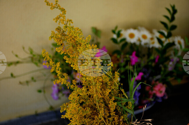 Село Делчево ще отбележи Еньовден с двудневна програма на 21 и 22 юни
