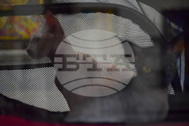 Благоевград  котки - изложба