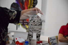 Благоевград  котки - изложба