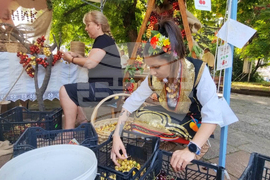 Кюстендил - празник на черешата