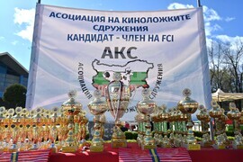 Пловдив - киноложка изложба