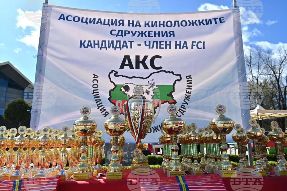 Пловдив - киноложка изложба