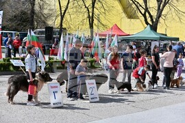 Пловдив - киноложка изложба